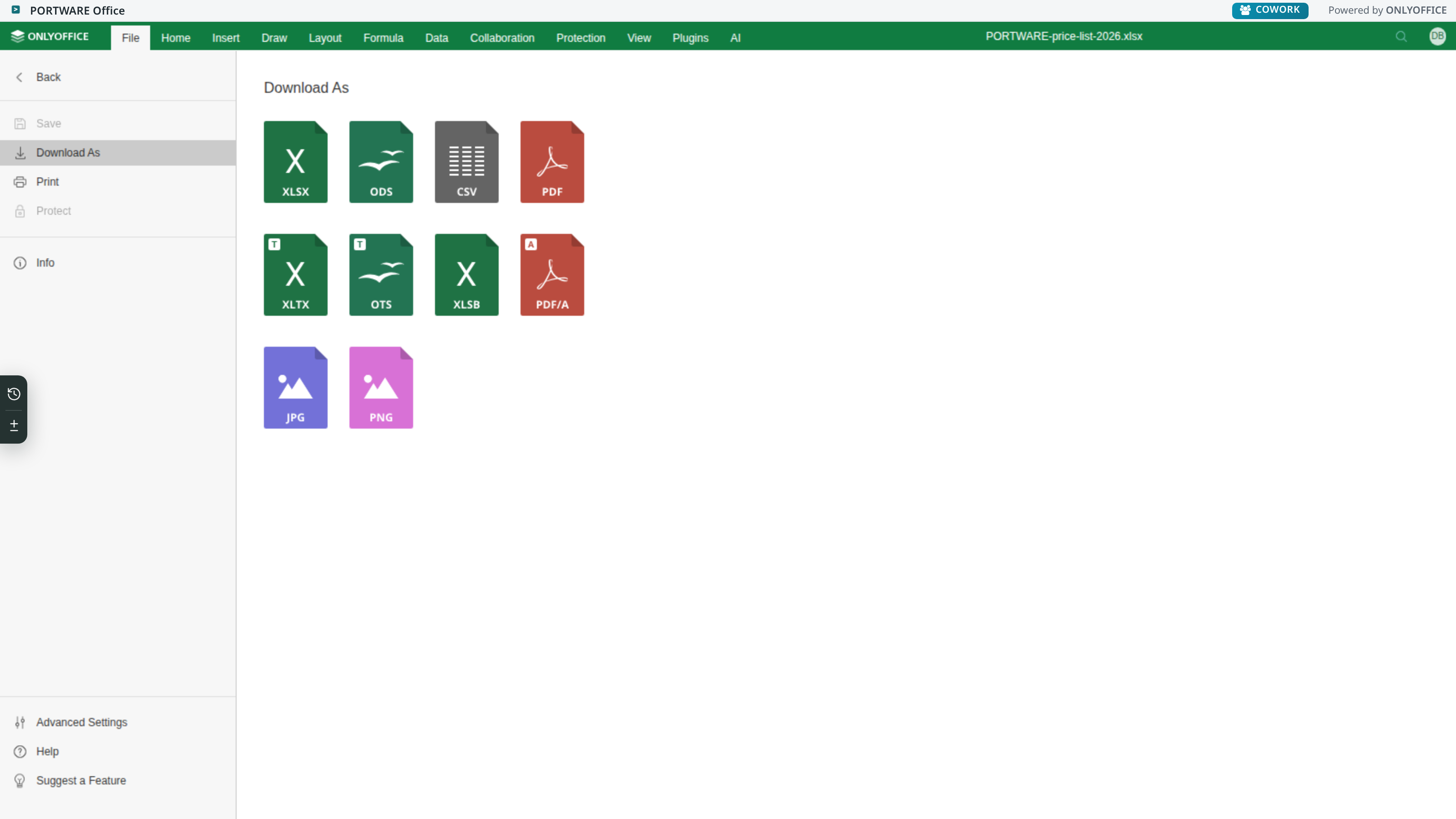 Excel editor — File tab